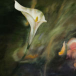 Flores/ Fleurs thumbnail 1