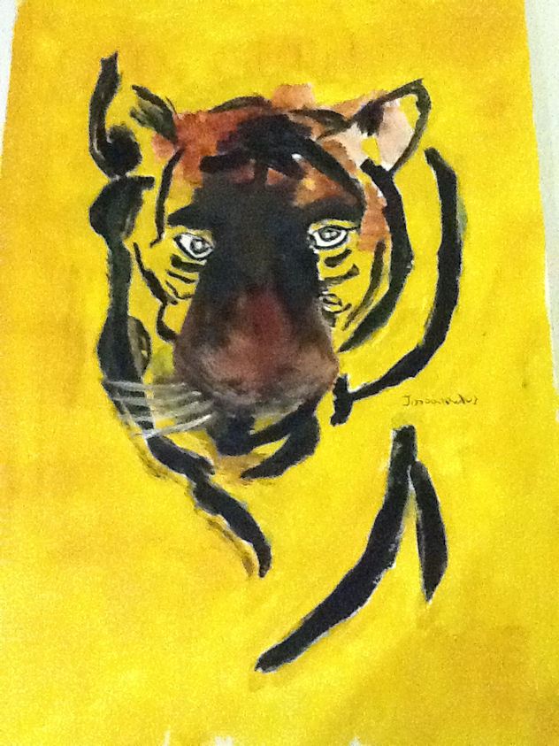 tiger of senegal