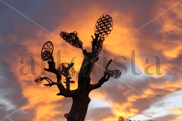 Detalle copa de escultura.JARDÍN DE OLIVOS MILENARIOS.UNIÓN DE LAS ESTRELLAS Y LA TIERRA. Iron Mixed