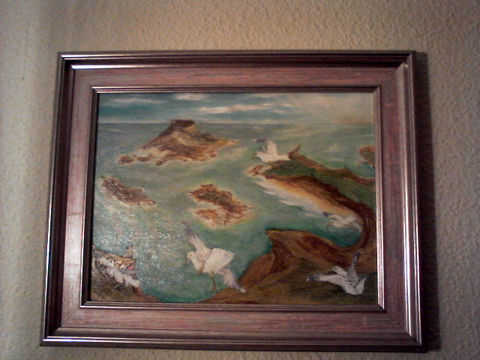 gaviotas marinas