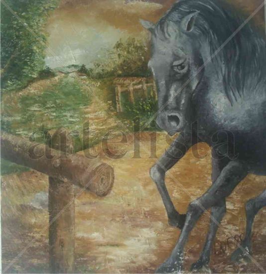 potrillo1 Oil Canvas Animals