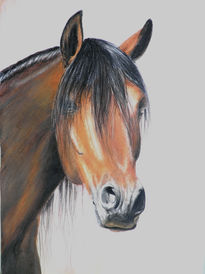 Caballo