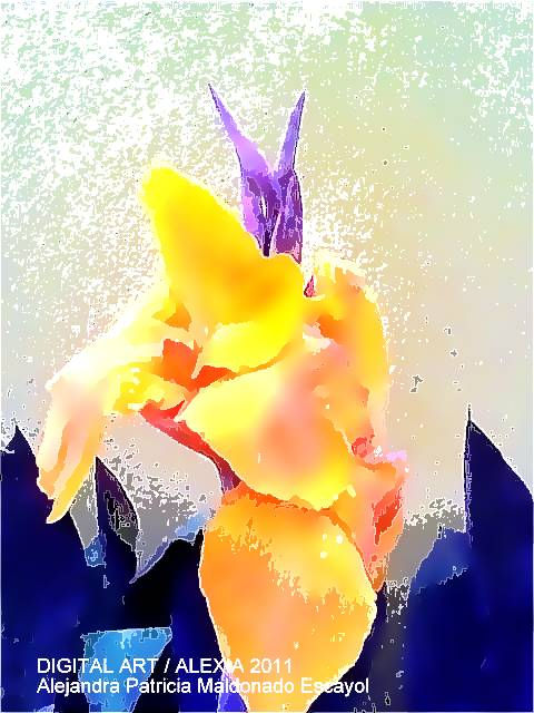 PINTURA DIGITAL DE MIS ACHIRAS " COLOR UNIVERSO"