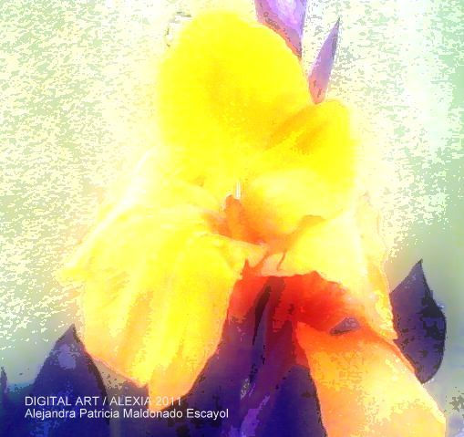 PINTURA DIGITAL DE MIS ACHIRAS"COLOR ORO"