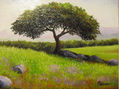 HUARANGO