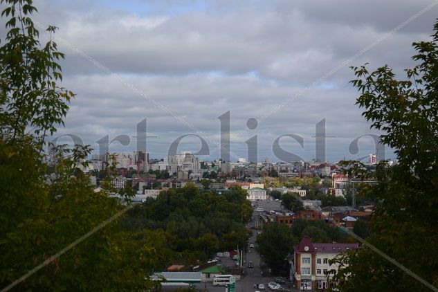 Obra Oil Canvas Landscaping