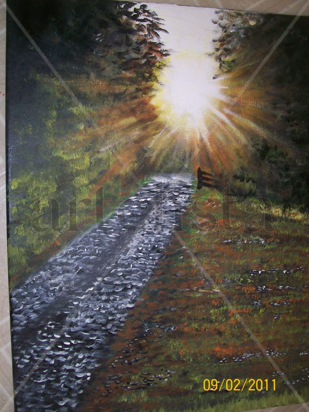 luz en el camino