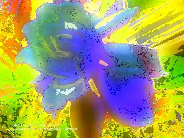 PINTURA DIGITAL DE MI JAZMÍN AZUL