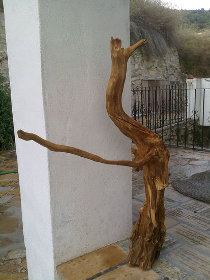 VOLADOR ANCESTRAL 678/2011 Wood Abstract