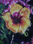 Flor II