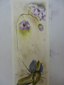 Orquídea 1