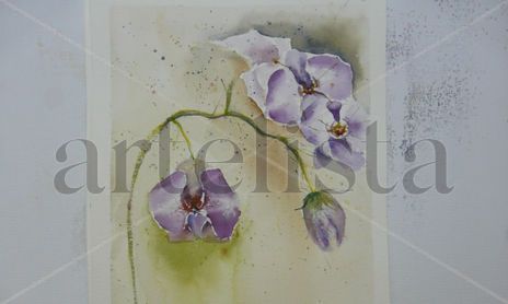 ORQUÍDEAS