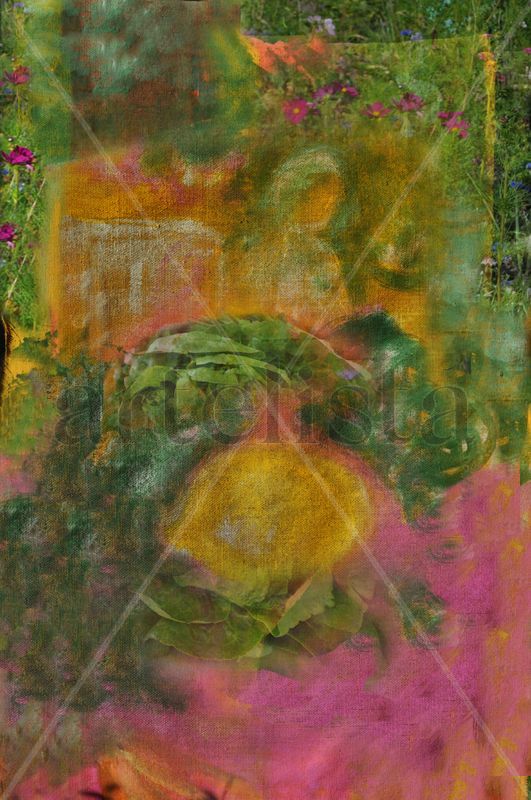 The Garden