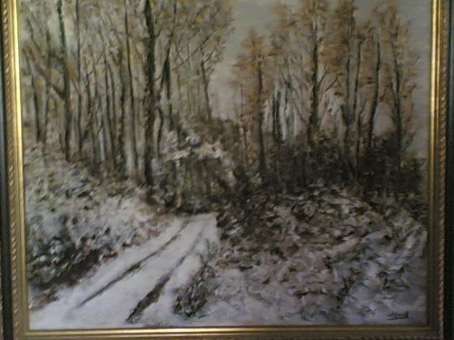 paisaje nevado