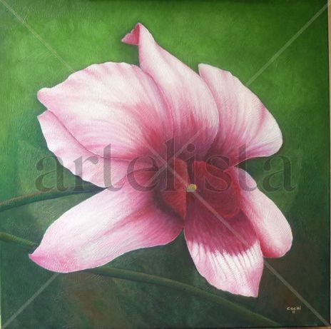 Orquidea 2