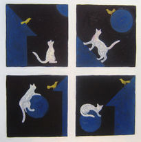 Cielo felino