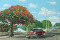 ´´flamboyan y chevrolet a orillas del rio san juan´´