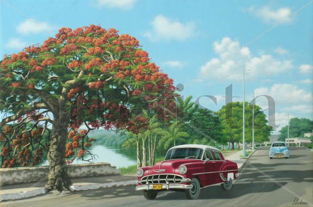 ´´flamboyan y chevrolet a orillas del rio san juan´´