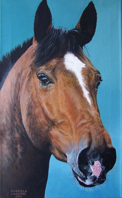 Caballo