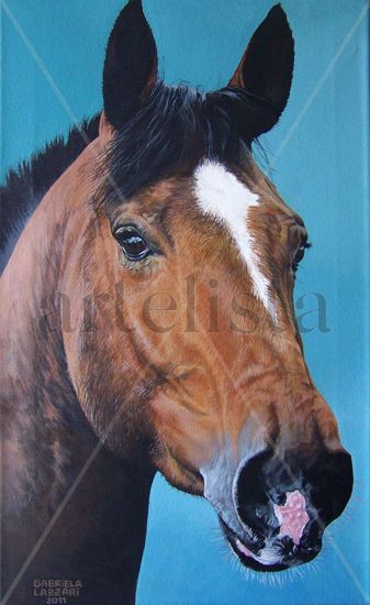 caballo Oil Canvas Animals