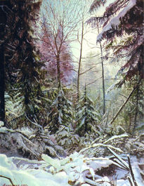 Winter forest