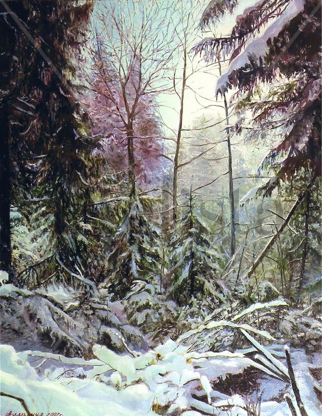 Winter forest