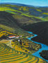 RIO DOURO