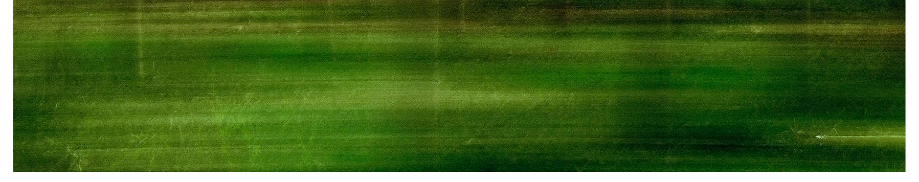 Imagen de portada