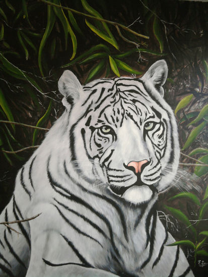 tigre blanco Oil Canvas Animals