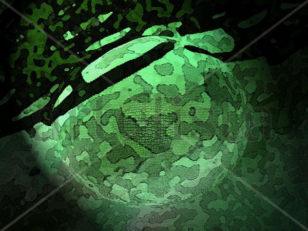 Ojo Verde