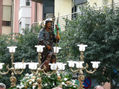 Fiestas tradicionales