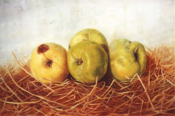 Manzanas Óleo Lienzo Bodegones