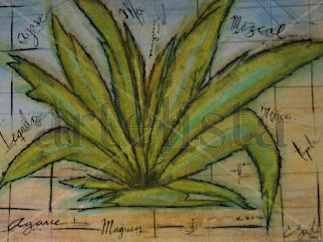 Maguey