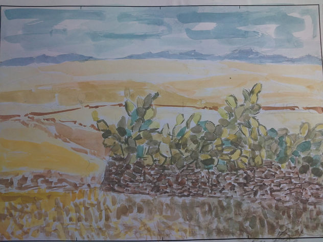 paisaje veraniego