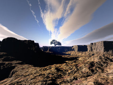 The Tree