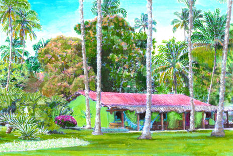 Casa em Carneiros