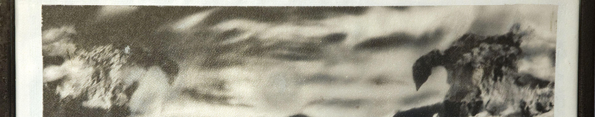 Imagen de portada