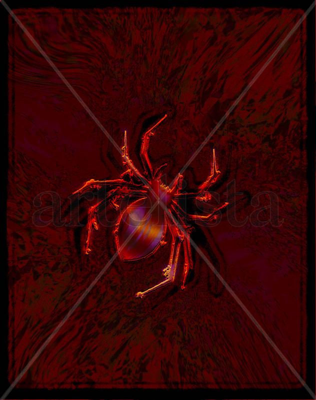 Imagen araña