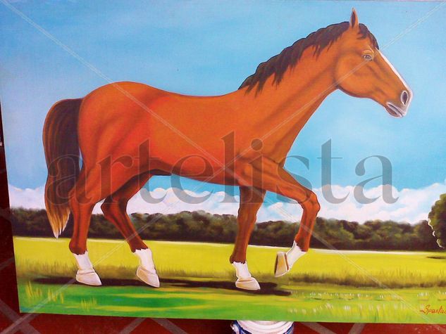 potro sabanero Oil Canvas Animals