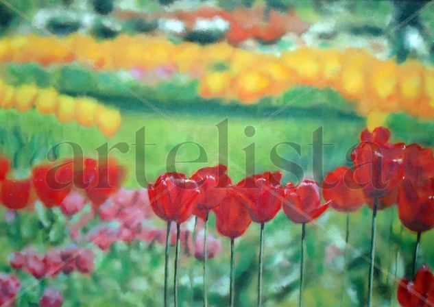 Tulipanes Oil Canvas Landscaping