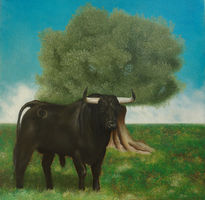 Toro en el campo