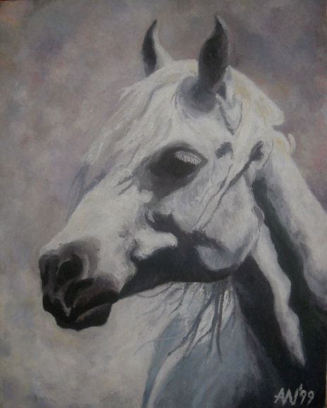 Portret araba