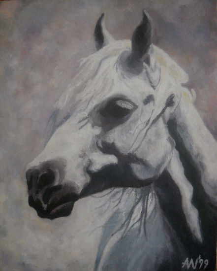 portret araba Oil Canvas Animals