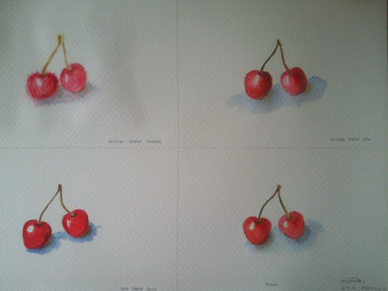Cerezas
