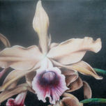 FLORES thumbnail 1