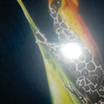 EROS thumbnail 1