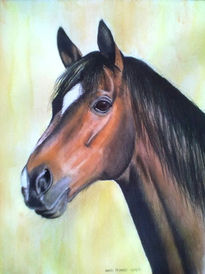 Caballo