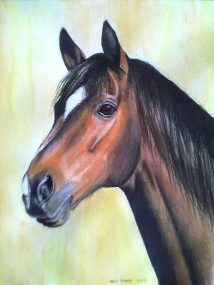 Caballo
