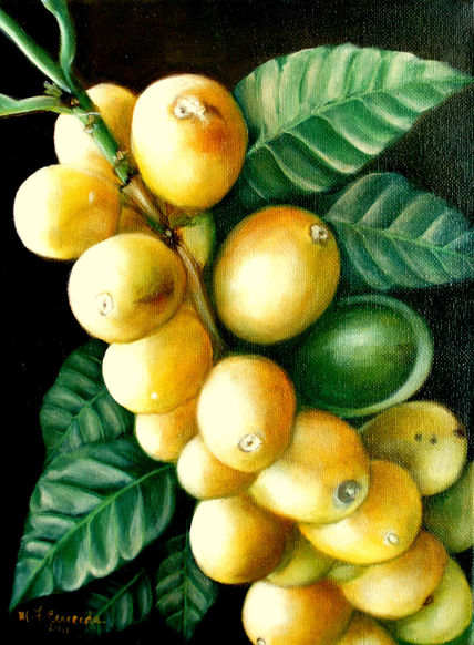 "catuai amarillo"