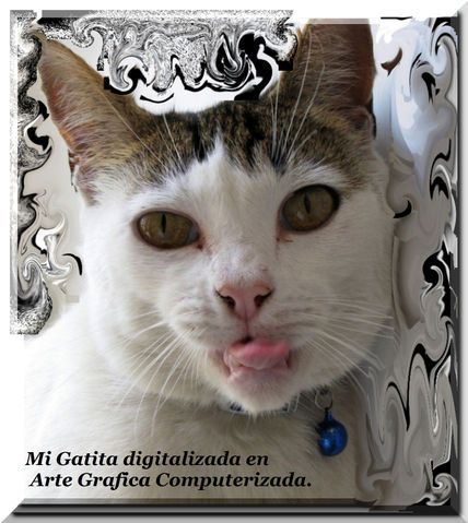 Mi Gatita 3